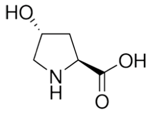 l-4-hydroxy-proline-structure